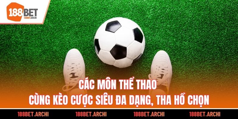 Các môn thể thao cùng kèo cược siêu đa dạng, tha hồ chọn